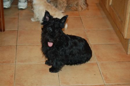 de l'etang de génancourt Bjorka